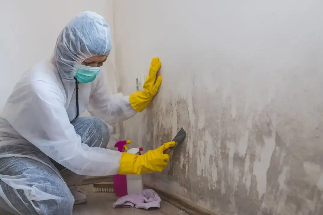 water damage restoration service Lochn'ora